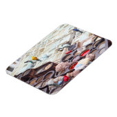 Fes tanneries, Marokko Magneet (Linkerzijde)