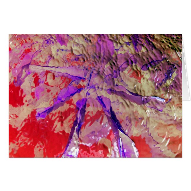 Festival Digital (Voorkant Horizontaal)