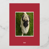 Festive Barks | Dog Pet-foto Folie Feestdagenkaart (Achterkant)