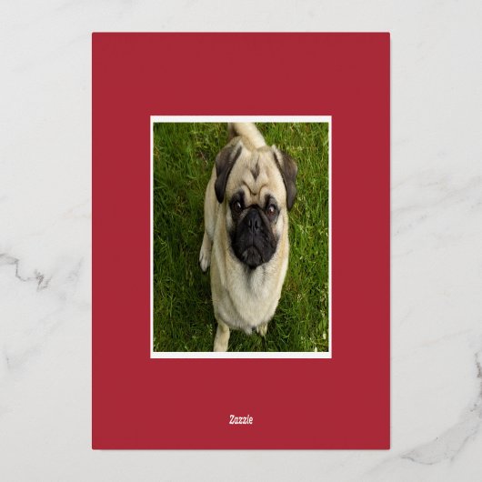 Festive Barks | Dog Pet-foto Folie Feestdagenkaart (Achterkant)