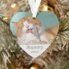 Festive Cat Pet Keepomwille Foto met kerstfeestdag Ornament