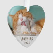 Festive Cat Pet Keepomwille Foto met kerstfeestdag Ornament (voorkant)