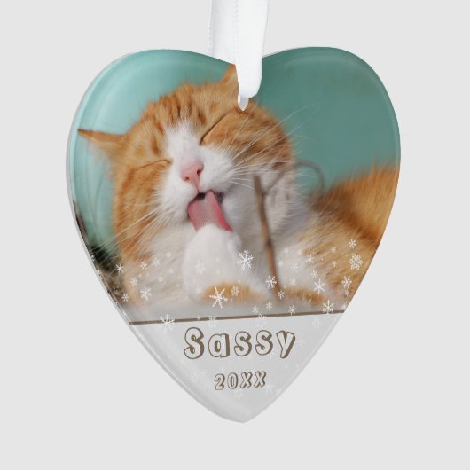 Festive Cat Pet Keepomwille Foto met kerstfeestdag Ornament (voorkant)