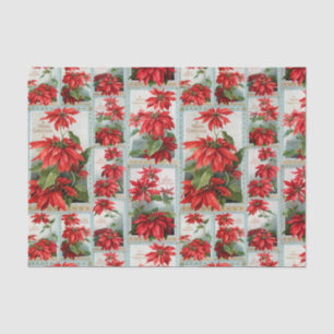 Festive Colorful  Poinsettias Tissuepapier