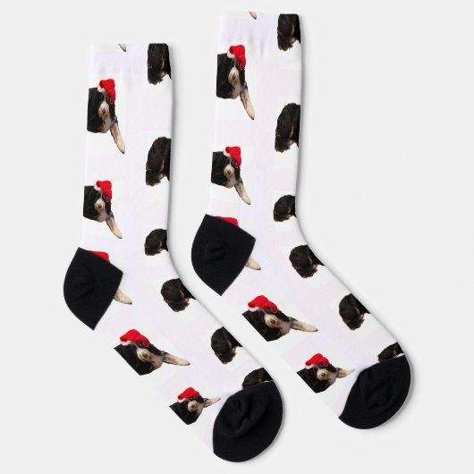 Festive & cute bernedoodle wearing a Santa hat Sokken (Rechts)