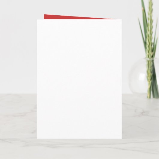 Festive Elegant Hand Drawn Red White Bow Christmas Feestdagen Kaart (Achterkant)