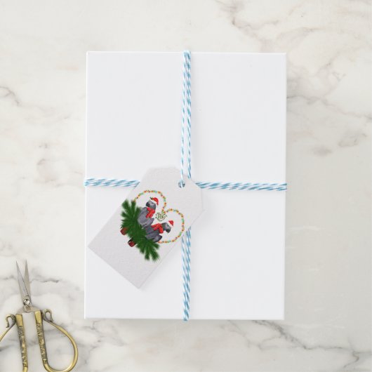 Festive Featherball Gift Labels Cadeaulabel (Met Touw)