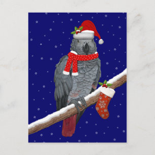 Festive Feathers Briefkaart