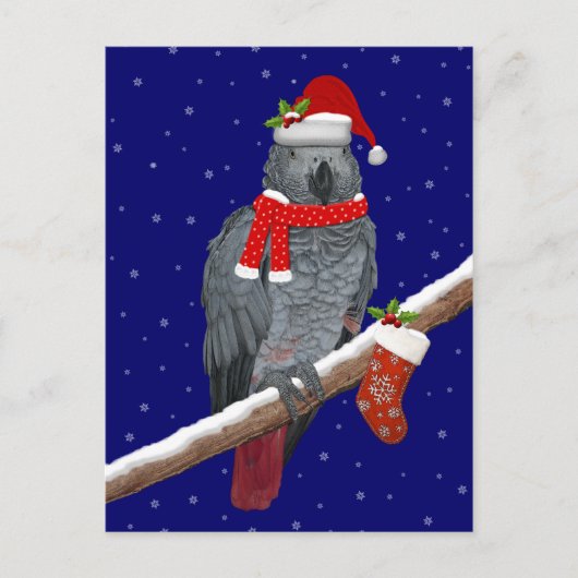 Festive Feathers Briefkaart (Voorkant)