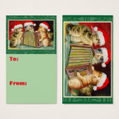Festive Feline Accordion Players Christmas Visitekaartje (Voorkant /achterkant)