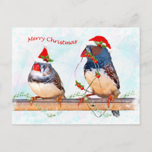 Festive Finches Briefkaart