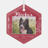 Festive First-kerstpoppuppy Foliage Red Photo Glas Ornament (Voorkant)