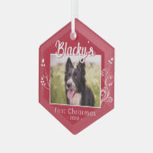 Festive First-kerstpoppuppy Foliage Red Photo Glas Ornament (Voorkant links)