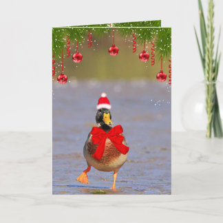 Festive Fun Mallard Duck kerst Feestdagen Kaart