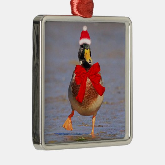 Festive Fun Mallard Duck kerst Metalen Ornament (Rechts)