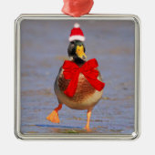 Festive Fun Mallard Duck kerst Metalen Ornament (Voorkant)