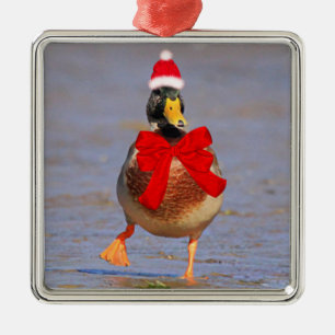 Festive Fun Mallard Duck kerst Metalen Ornament