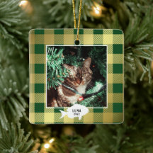 Festive Gold Pset Cat Name Kerstmis