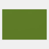 Festive Green Blue Polka Dots Stripes Solid Inpakpapier Vel (Voorkant)