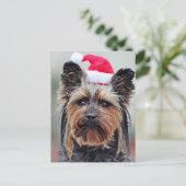 Festive Holiday Briefkaart (Staand voorkant)