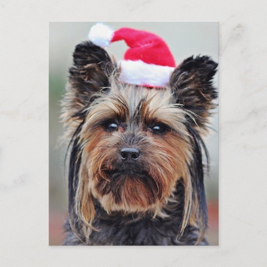 Festive Holiday Briefkaart (Voorkant)