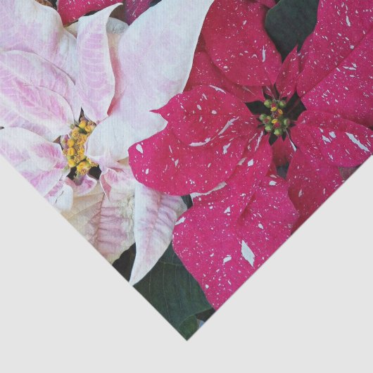 Festive Holiday Poinsettia Planten Floral Tissuepapier (Detail)