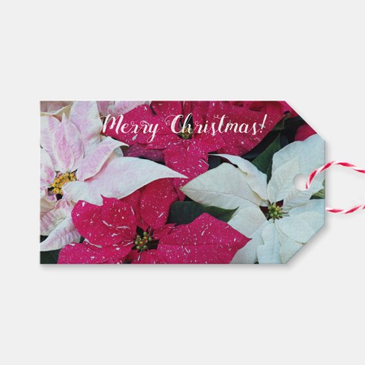 Festive Holiday Poinsettias Floral Cadeaulabel (Voorkant (Horizontaal))