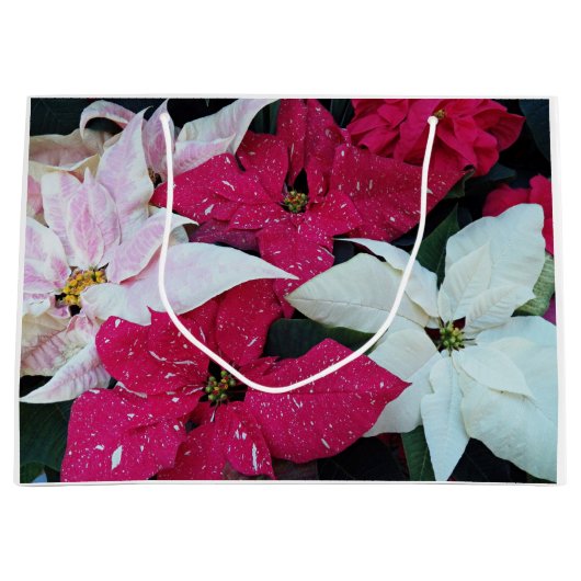 Festive Holiday Poinsettias Floral Groot Cadeauzakje (Voorkant)