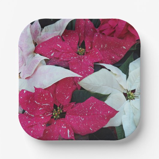 Festive Holiday Poinsettias Floral Papieren Bordje (Voorkant)