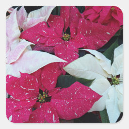 Festive Holiday Poinsettias Floral Vierkante Sticker