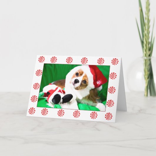Festive kerstCavalier King Charles Puppy Kaart (Voorkant)