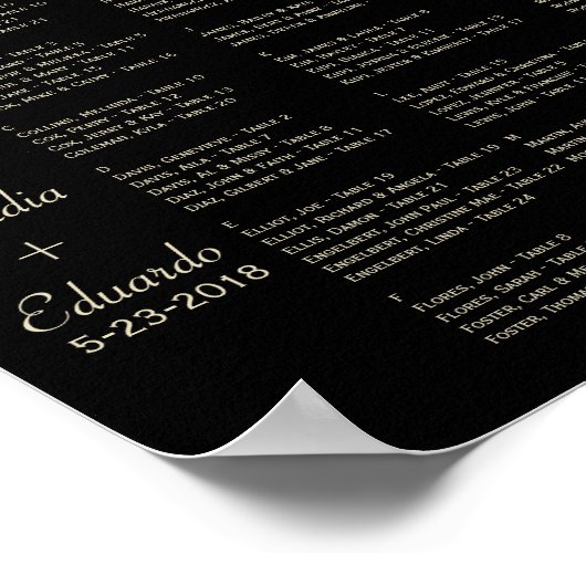 Festive Lantern met Pastel Black & Abriot Poster (Hoek)