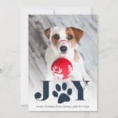 Festive Paws | Pet Photo Holiday Card Feestdagenkaart (Voorkant)