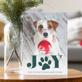Festive Paws | Pet Photo Holiday Card Feestdagenkaart