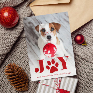 Festive Paws   Pet Photo Holiday Card Feestdagenkaart