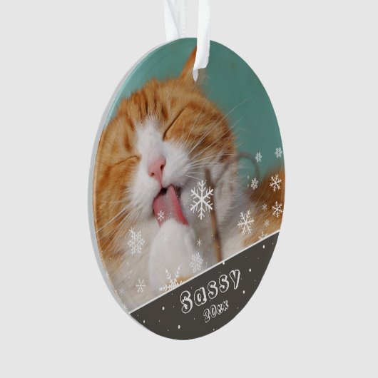 Festive Pet Cat Photo Keepomwille & Kerstmis Ornament (voorkant)