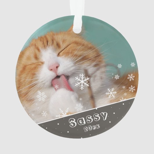 Festive Pet Cat Photo Keepomwille & Kerstmis Ornament (achterkant)