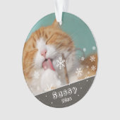 Festive Pet Cat Photo Keepomwille & Kerstmis Ornament (voorkant)