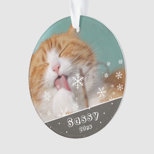 Festive Pet Cat Photo Keepomwille & Kerstmis Ornament (voorkant)