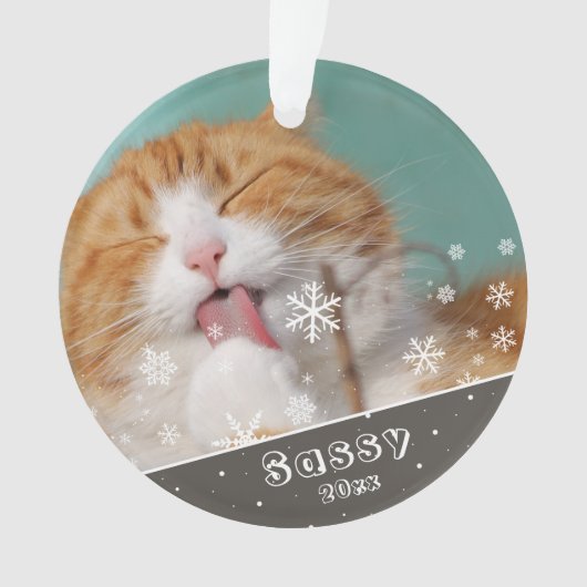 Festive Pet Cat Photo Keepomwille & Kerstmis Ornament (voorkant)