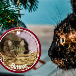 Festive Pet Photo 2021-keramische keramiek-oranje Keramisch Ornament