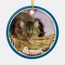 Festive Pet Photo 2021-keramische keramiek-oranje