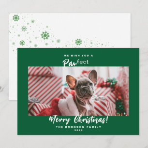 Festive Pet Photo Merry Kerstfeestay Kaart