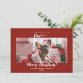 Festive Pet Photo Merry Kerstfeestay Kaart (Staand voorkant)