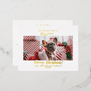 Festive Pet Photo Merry Kerstry Folie Feestdagen Briefkaart