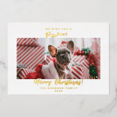 Festive Pet Photo Merry Kerstry Folie Feestdagenkaart (Voorkant)