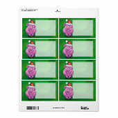 Festive Pig in Santa Hat over Groen Etiket (Full Sheet)