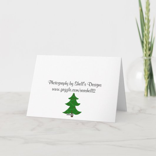 Festive Pine Cones Feestdagen Kaart (Achterkant)