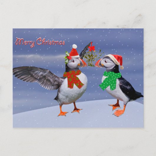 Festive Puffins Briefkaart (Voorkant)
