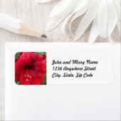 Festive Red Amaryllis Floral Return Address Etiket (Insitu)